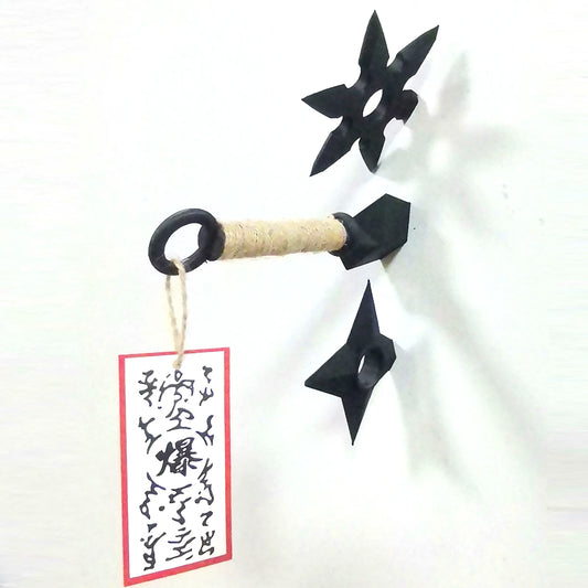 Ninja Weapon Fridge Magnet