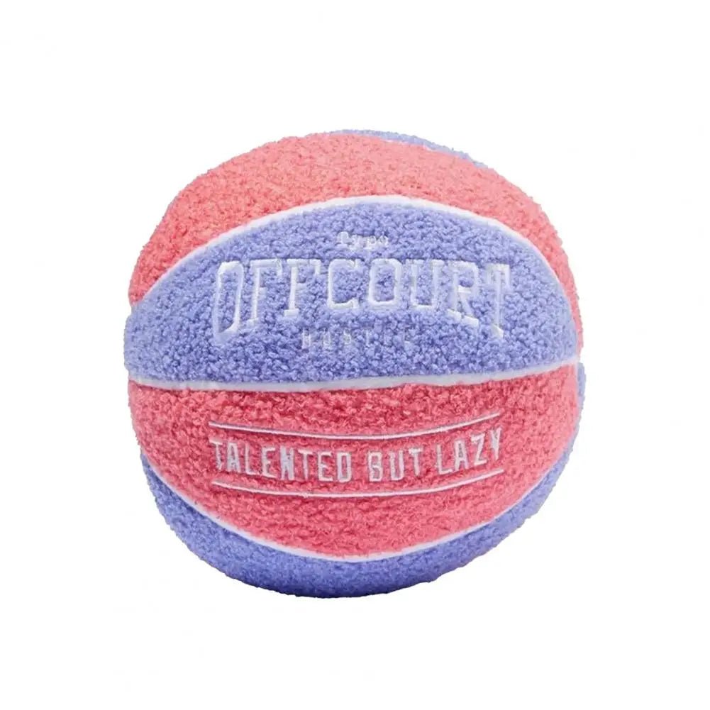 Basketball Pillow - DiscRugs