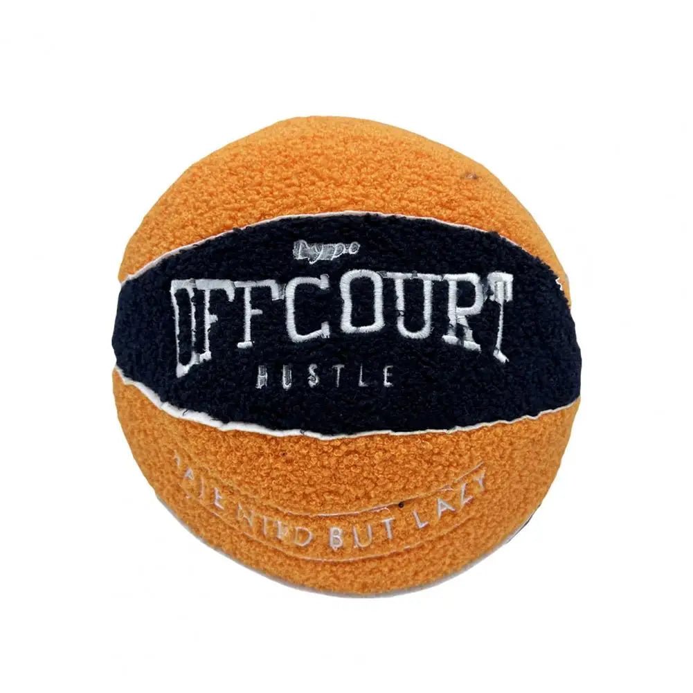 Basketball Pillow - DiscRugs